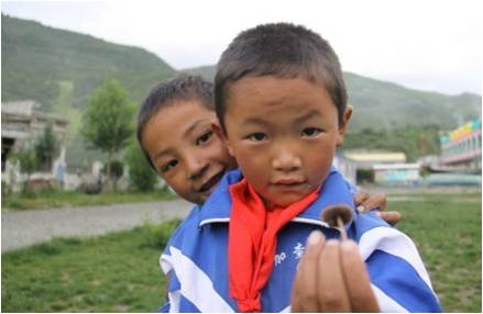 �ɂ�(g��)�W(xu��)���������(f��)����W(xu��)��֧���(du��)�T�����_(d��)�Ѻ����f��һֻСĢ�����挦(du��)�㌍(sh��)�ĺ��ӂ���֧���(du��)�T������ϣ���ǡ��������҂�������҂��������S��(sh��)����