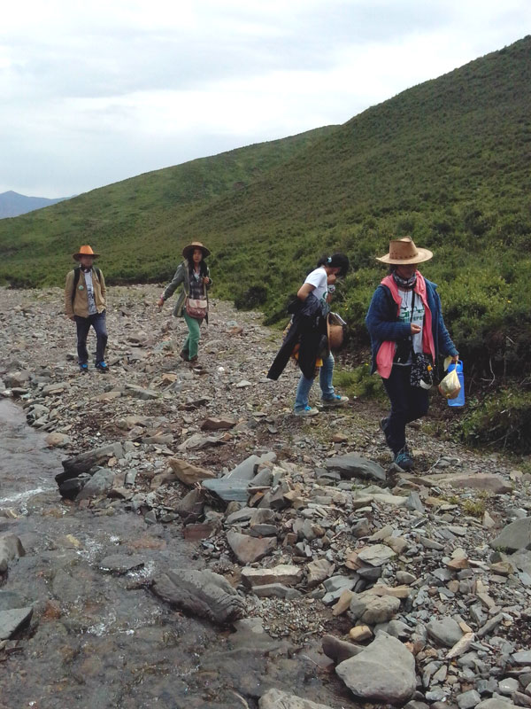 7��22�����m�ݴ�W(xu��)�Gɫ�I�F(tu��n)�(du��)�������c(di��n)����?q��)����{(di��o)�����(du��)�T������(d��ng)?sh��)ص��������f�ֲ����݈���r������ι�B(y��ng)���h(hu��n)��׃���ȷ����M(j��n)���˴��µ��˽����D���(du��)�T���ڮ�(d��ng)?sh��)��M(j��n)��ֲ����R������