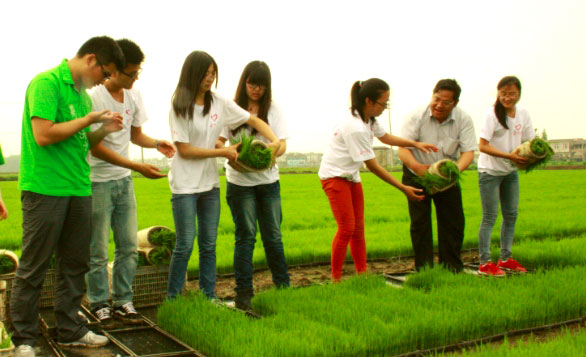 ��ꎎ����W(xu��)Ժ���Gɫ���ۡ����`�־Ը����ˮ�����g�M���w�ʽ������