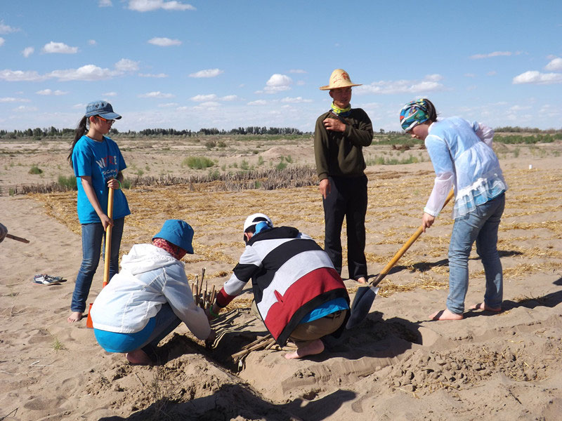 �@�N1.5��Ҋ�������ݸ��ӣ���ɳЧ����������^4��5���͕��L(f��ng)�g��������Ҫ�����a����