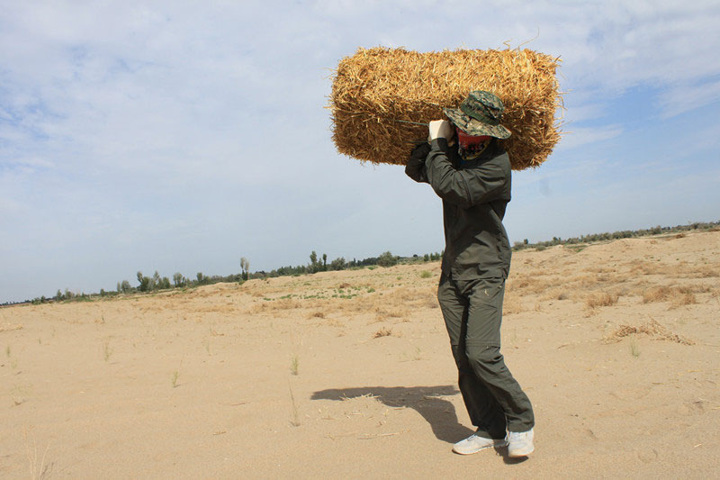 �F(tu��n)�T���i�������������ϳ����������������؟(z��)�Ρ�