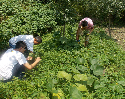 �ڶ������(du��)�T���_ʼ�������B(t��i)�r(n��ng)���w�(y��n)�r(n��ng)��������������ժ����