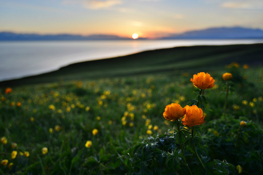 ���(hu��)�����l(xi��ng)�ĸ����