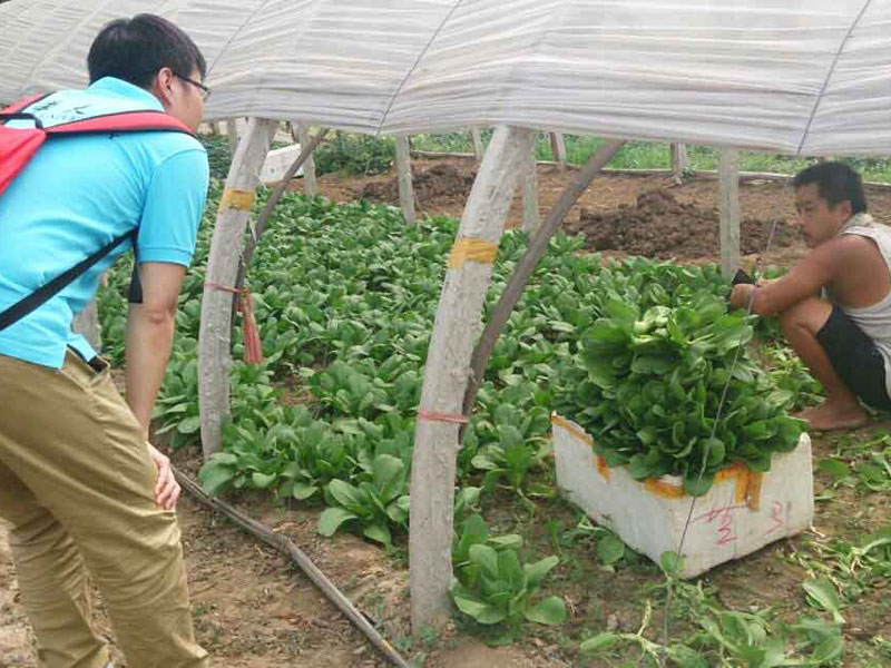 ��(sh��)�`�(du��)�T�c��(d��ng)?sh��)��r(n��ng)��e�O��ͨ������(d��ng)�����(w��n)�}���˽��߲˴�������P(gu��n)��r��