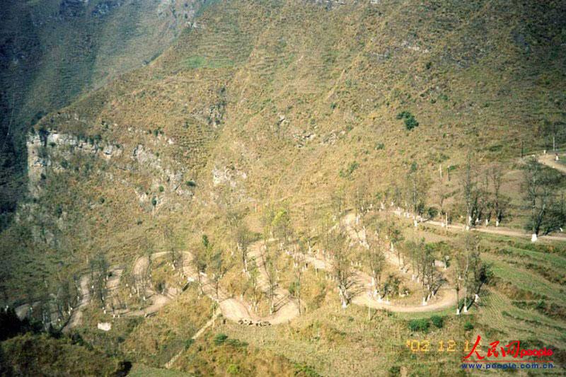 ��¡��24���ա�֮������ꐁ���?j��n)zӰ�� 