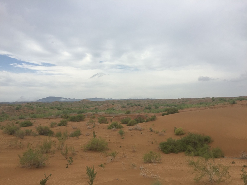 �v����ɳĮ�޾W(w��ng)������ݷ����ﲼ�M�[�d��ɳ��ֲ����