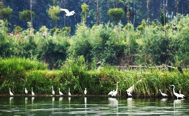 ͯԒ�ϼң���������Ԋ�����Ϙ���f����