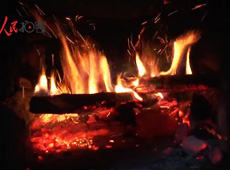 �t��t����~����������ʳ���ρ�