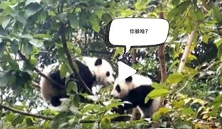 �L�L��̫�ɐ��ˣ�С��ȫ�̡���ĸЦ����