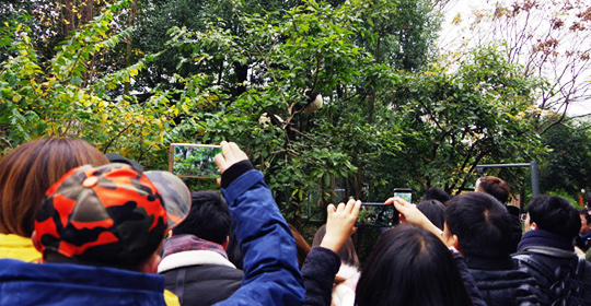 �@�����ӵ������ɶ����W(w��ng)�j(lu��)���ˁ��c(di��n)ٝ