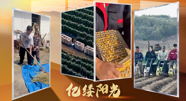 億縷陽光·鄉(xiāng)見｜農(nóng)活也能如此簡單